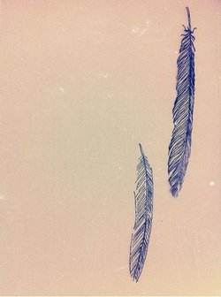 轻如鸿毛指的是什么生肖，轻如鸿毛的鸿是什么意思