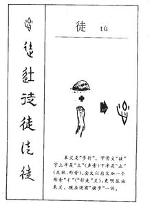 徙的拼音怎么读，徒然的拼音