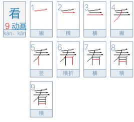 看见的看的笔顺怎么写