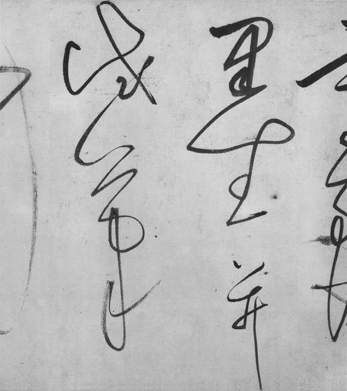 不胜其烦的 胜是什么意思