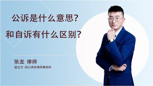 公诉人是什么意思，法院公诉是什么意思