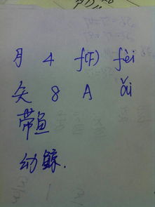 划可以组什么词