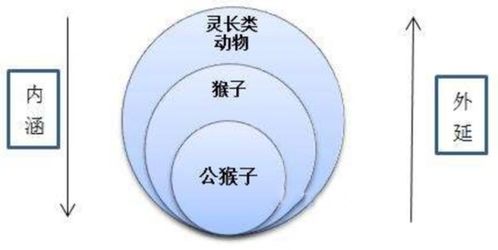政治外延是什么意思，国家安全的内涵和外延是什么意思