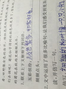 频频的意思?