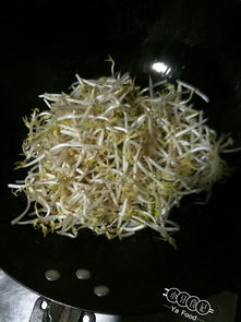 豆芽是凉性还是热性?