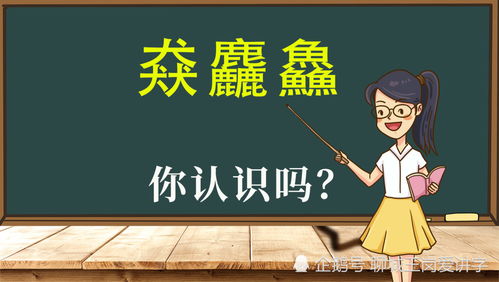 “槑、赑、毳、掱、羴、猋、麤、垚、鱻、惢、瞐、舙、畾、孨”这些字