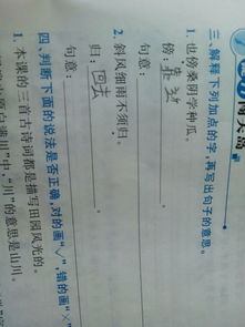 “也傍桑阴学种瓜”的上一句是什么?
