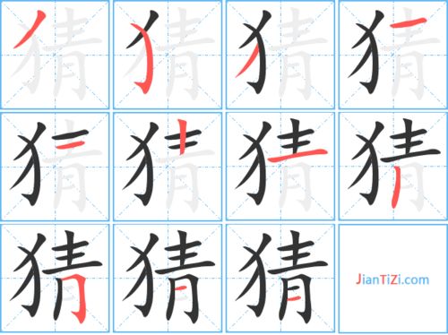 猪的笔顺正确的写法，扬的笔顺