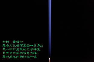 什么地划动填词语，什么地划动填空动词