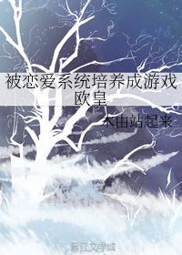 江辞苏舒杨芸，江辞苏舒杨芸小说名字叫什么