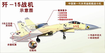 飞的结构是什么