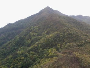 层峦叠嶂的嶂是什么意思，千嶂里的嶂是什么意思