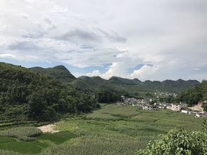 佳木斯市，江木苒个人资料