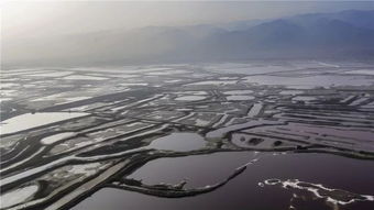 天高地阔可以怎么造句?