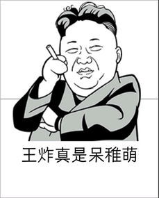 怒る怎么读，怒らないで是什么意思