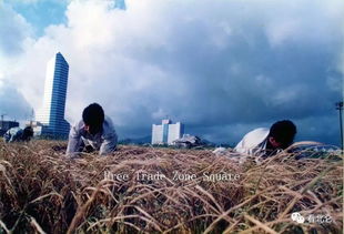 平地起高楼下一句，平地起直聘网