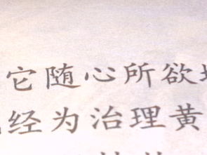 随心是什么意思