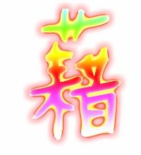 藉多音字组词有哪些