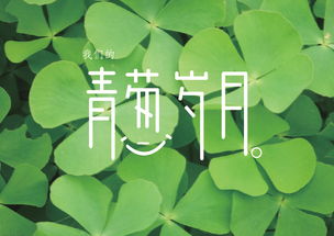 青葱岁月什么意思