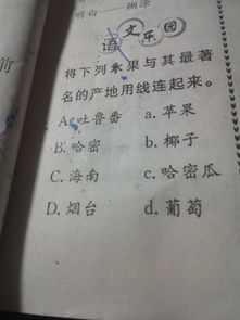 划可以组什么词语和拼音，划可以组什么词多音字和组词
