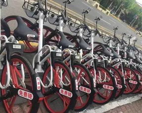 赳赳是什么意思