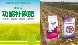 基肥是什么肥料