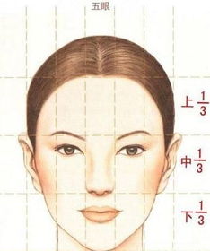 三庭五眼是什么意思，三庭看命运