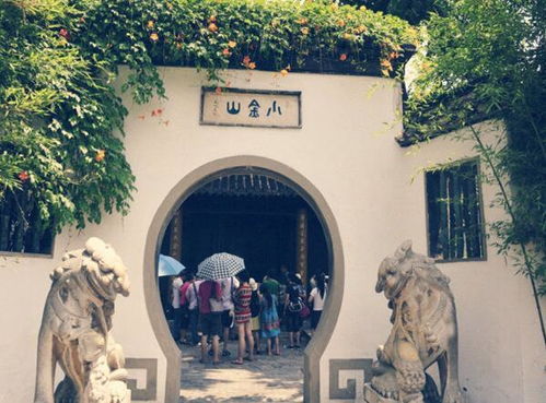 山金左右读什么