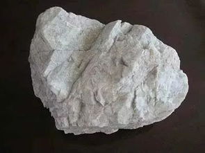 斜长石形态，斜长石透明度