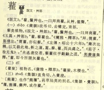 朋友说云南带回来了,哪里管这叫铁盘海,有谁知道这个中药学名是什么