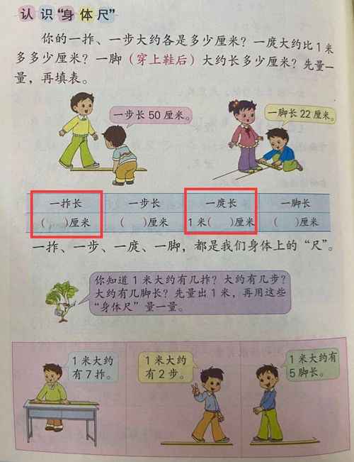 拃读什么字