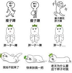 争论的近义词