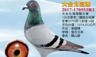 被人鸽了是什么意思，鸽了我啥意思