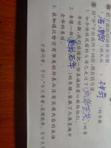华字组词有哪些