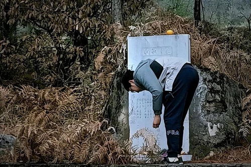 先人指的是什么意思