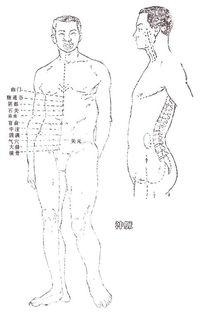 太冲脉在什么位置