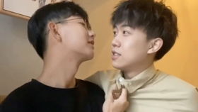陈律和徐岁宁结局是什么?