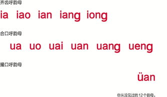 退怎么拼读