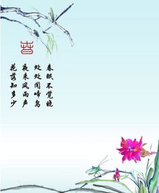 苏堤春晓翻译，春晓翻译古诗