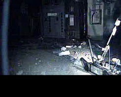 氢气 爆炸