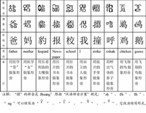 运动的拼音字母是什么?