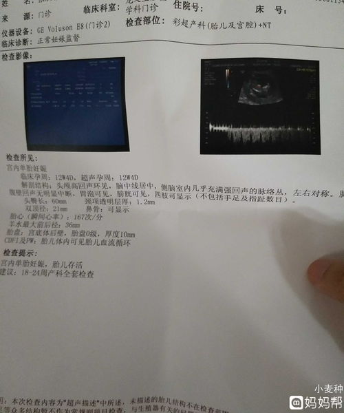 毕业结论是什么意思，物理二级结论是什么意思