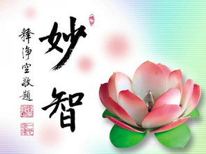 五识什么意思?作何解释?