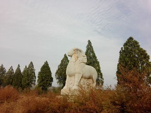 泰陵简介，泰鲮鱼