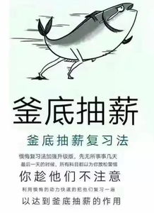 技巧的意思是什么 技巧造句 近义词