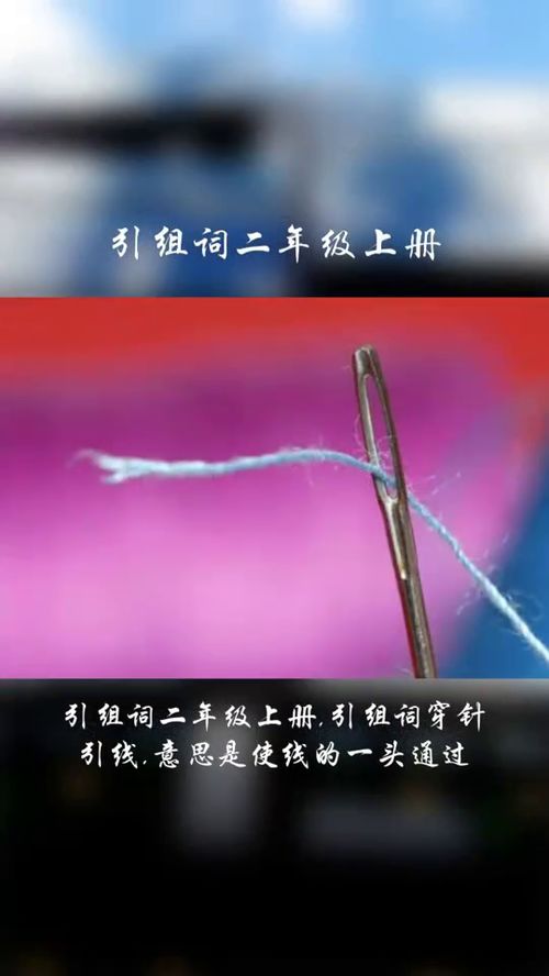 引路的引能组什么词