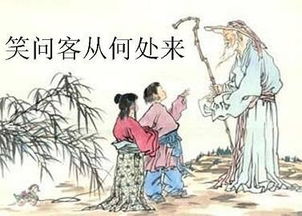 咏柳 贺知章拼音