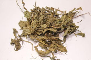 灵草别名，灵草灵宠 天涯