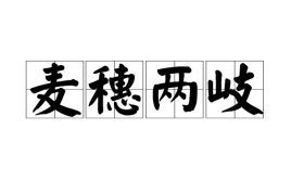 麦穗两岐,风禾尽起什么意思，麦穗两岐打一数字