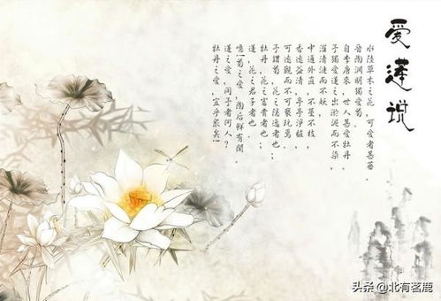 出淤泥而不染出自哪首古诗，出淤泥而不染 濯清涟而不妖
